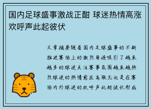 国内足球盛事激战正酣 球迷热情高涨欢呼声此起彼伏